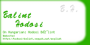 balint hodosi business card